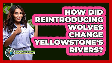 How Did Reintroducing Wolves Change Yellowstone