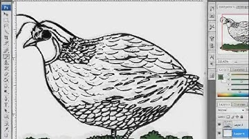 Desktop Publishing Operator in English module 11