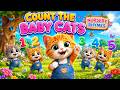 🐱Count the BabyCats| Fun Counting Song for Kids|#babycat#youtubekids #nurseryrhymes#countingforkids
