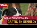 Kennedy estrena clases gratis de adiestramiento canino contra el abandono | CityTv
