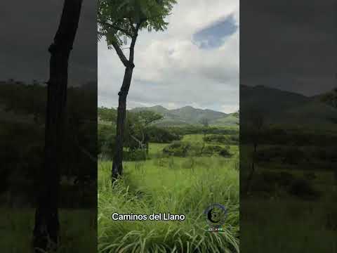 Caminos del Llanos Venezolanos.#desbloqueandoelgpsmental #srmoonofficial