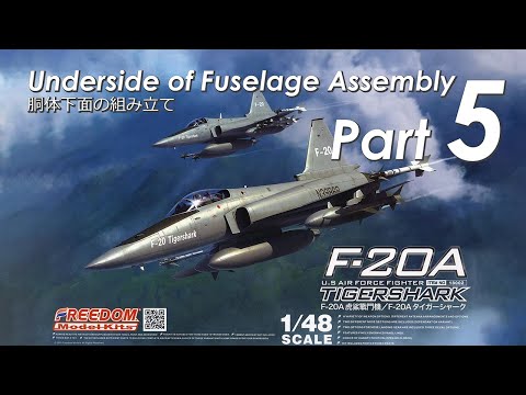 FREEDOM Model Kits 1/48 F-20A TIGER SHARK - フリーダムモデル
