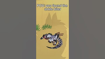 POV: You found the ankle bitter / Creatures of Sonaria