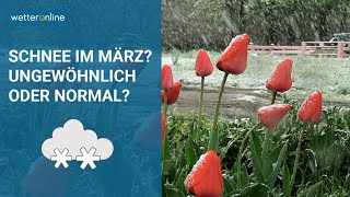 So ungewöhnlich ist März-Schnee