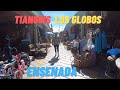 🎈 Tianguis Los Globos Ensenada | Swap Meet In Ensenada