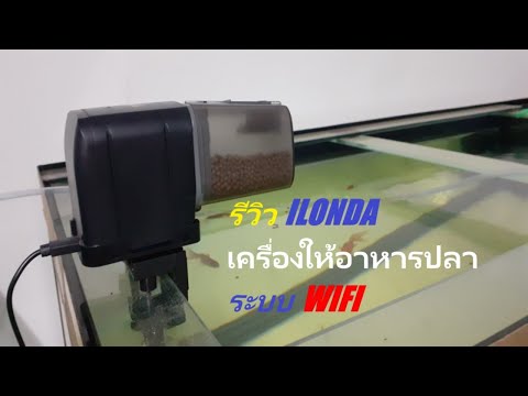 ปี4 EP.101 รีวิวเครื่องให้อาหารปลา ILONDA สั่งการด้วย WIFI