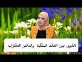 الفرق بين العقد الملكية والدفتر العقاري 