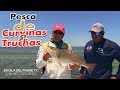 Pesca de Curvinas y Truchas con Héctor López en Isla del Padre