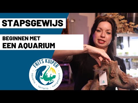 Stapsgewijze uitleg: Het opzetten van een aquarium voor beginners en Aquarium inrichten