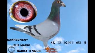 Holuby Van Helsing.horvath Oz Pezinok.budmerice