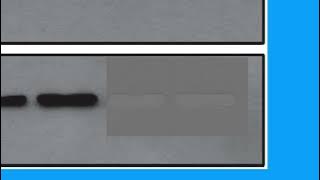 6762360F6418BF3B20A9FCCEADA833#1