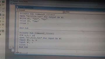 Sequential file Handling in Visual Basic 6.0