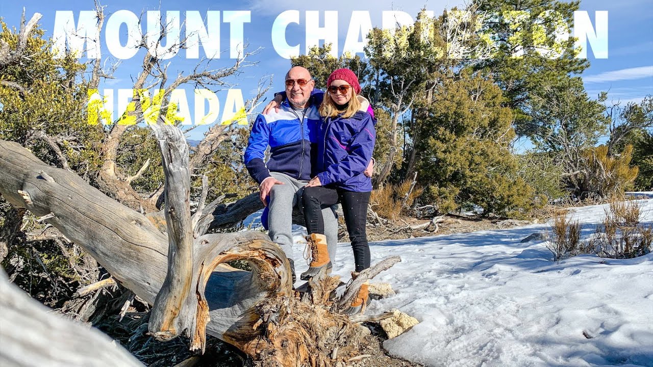 Weekend Trip to Mount Charleston | Nevada | Travels with Joe & Ely