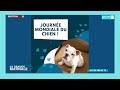 LA MATINALE   2 PARTIE DU 26   AOUT 2024
