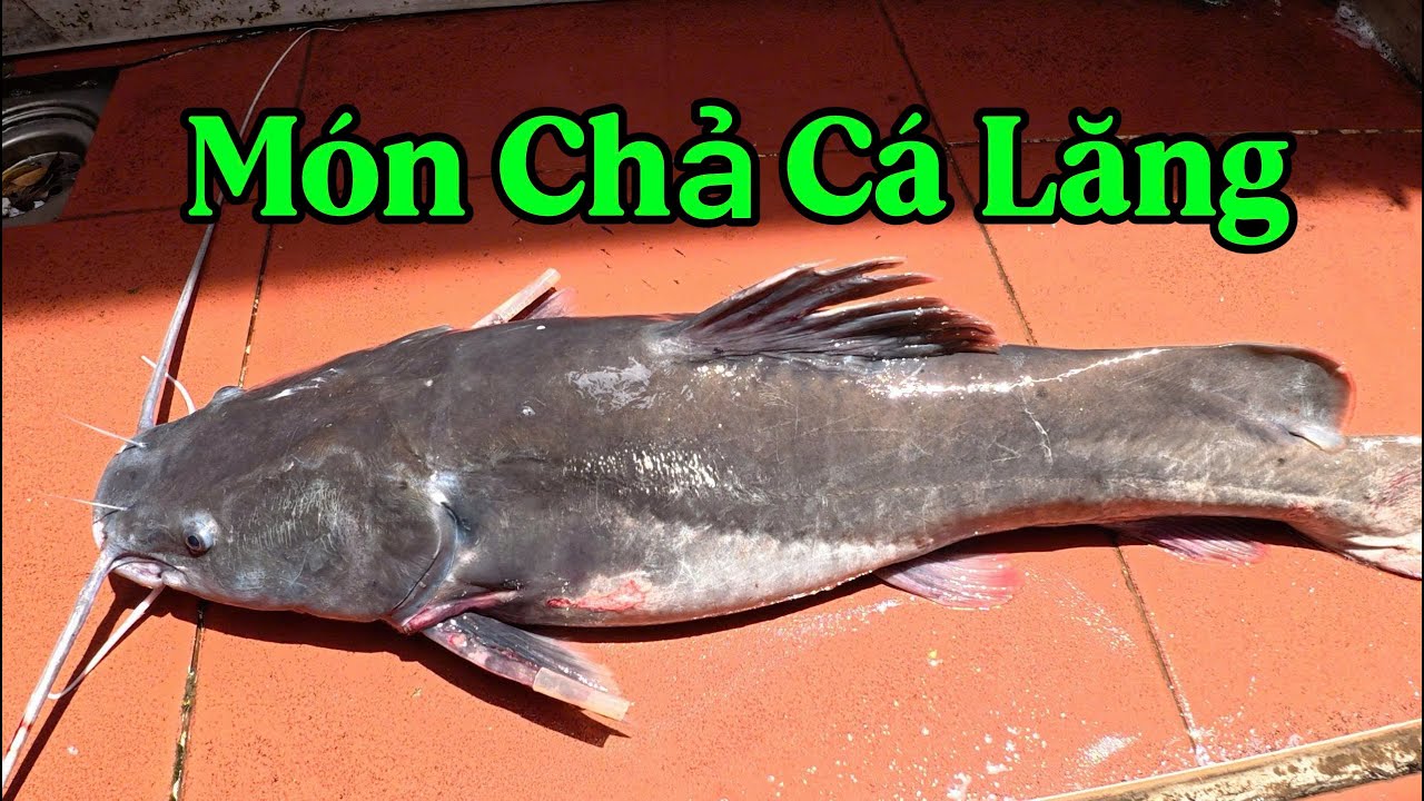 TÔI ĐÃ BỊ CUỐN HÚT BỞI MÓN  CHẢ CÁ NÀY .I AM CHARGED BY THIS FISH CAKE