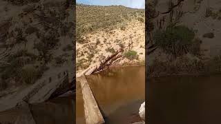 فصل الربيع تمدا نتسليت أورير #shorts #agadir#اكسبلور #تيك_توك ##1million #تيك_توك #اكسبلور #اكسبلور