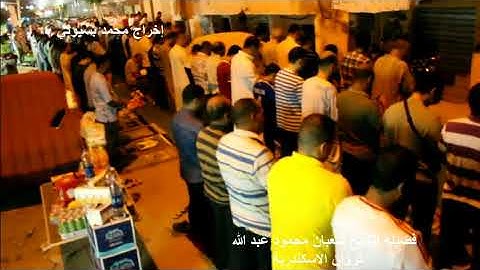 فضيلة الشيخ شعبان محمود عبد الله .... سورة القدر تصوير خارجي