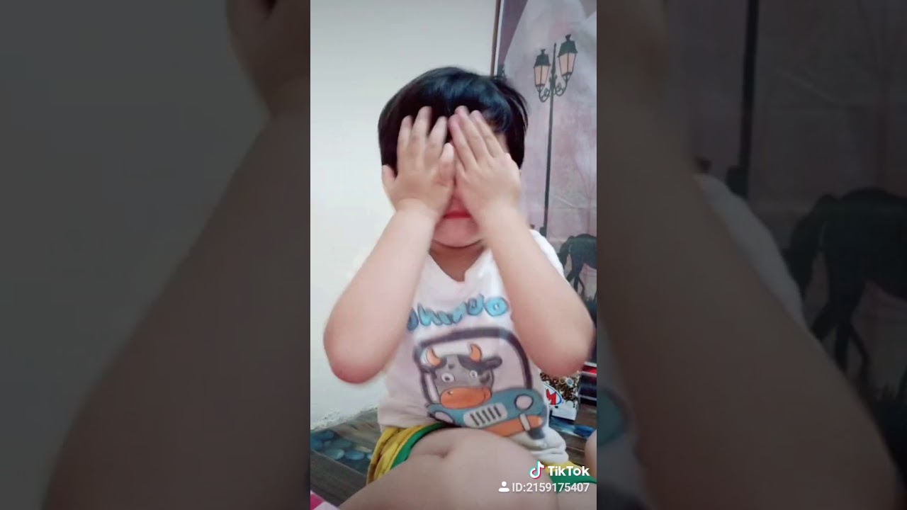 Tik tok lucu 2019 