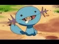 Why I  Love Wooper