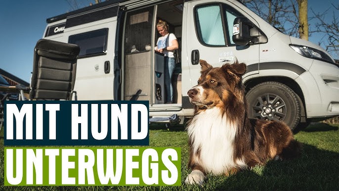 Wohnmobil mit Hund - Unsere Must Haves für den Wohnmobil Urlaub