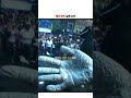 예상 밖의 실패 원인 🥵🥽 thumbnail
