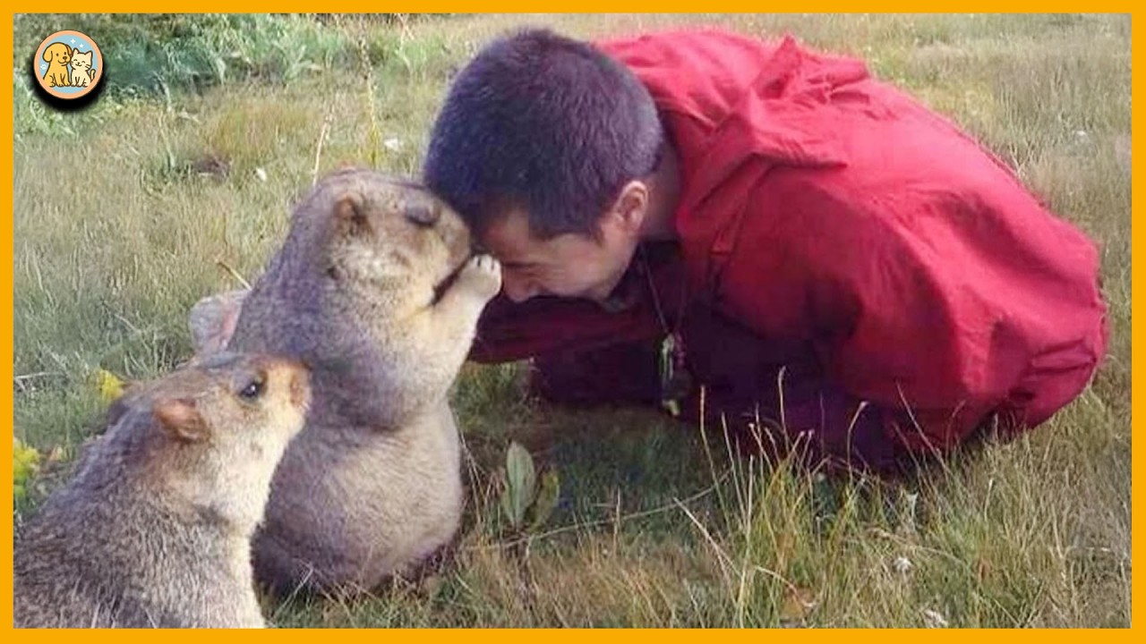 When Animals Completely Surprised Photographers,The Funniest Moments Between Animals and Humans