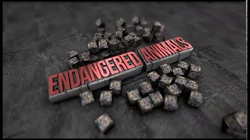 Google Drawings: Adding video and sound