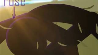 voidz tryout(duelist demo)