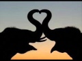 ABBA Love Isnt Easy But It Sure Is Hard Enough 