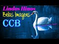 HINOS CCB - Belos Hinos e Belíssimas Imagens - MINHA ALMA ENGRANDECE AO MEU SALVADOR...