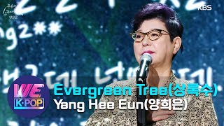 Yang Hee Eun(양희은) - Evergreen Tree(상록수) (Sketchbook) | KBS WORLD TV 201225