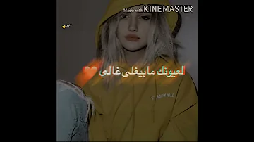 حالات واتس اب دربك وين ياأسمر كالولي صوب الشيمالي 