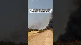Las llamas se ceban con Mahíde y Pobladura de Aliste (Zamora) #ifmahíde #incendiosforestales