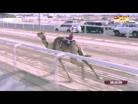 أول رموز الختام غناء فنان العرب محمد عبده