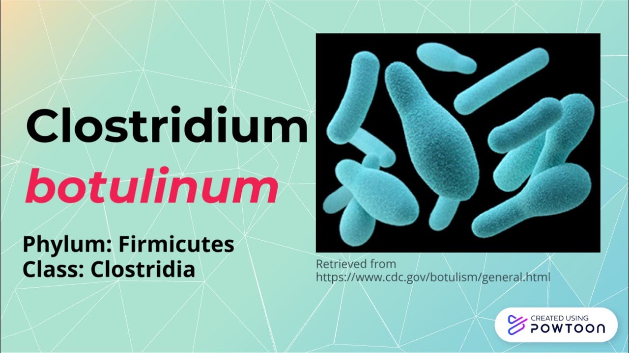 FOODBORNE PATHOGEN PROJECT ǀ Clostridium botulinum - YouTube