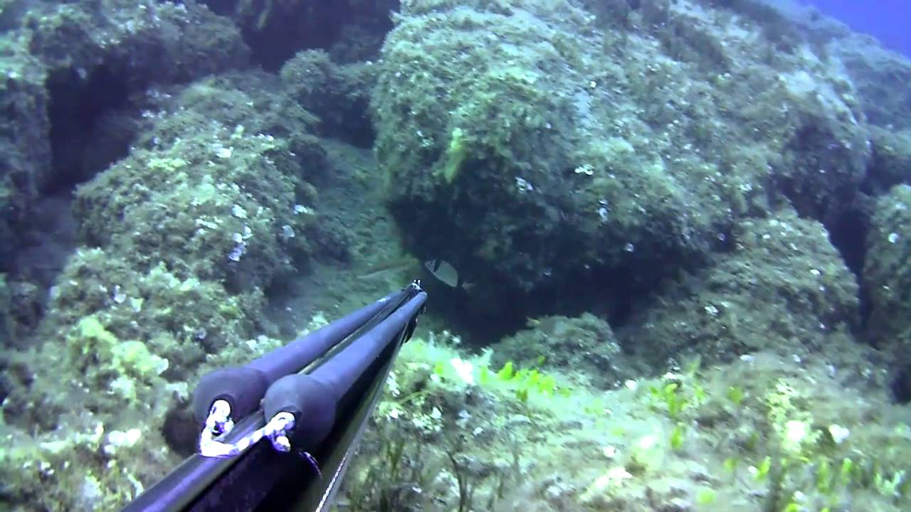 cyprus spearfishing 2012 teaser YouTube