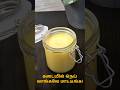 கடையில் நெய் வாங்கவே மாட்டீங்க! | Homemade Ghee | 100% Pure Ghee