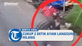 Viral Video Aksi maling Ayam Terekam CCTV, Cukup 2 Detik Ayam Langsung Hilang