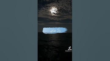 #قرآن #فارس_عباد #اسلام_صبحي #تلاوات