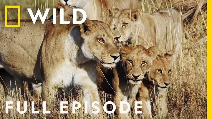 A Mother's Sacrifice (Full Episode) | Savage Kingdom