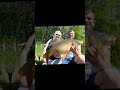 #carp #carpe #carpfishing #carperformance