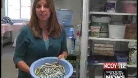 PWC needs a lifeline.flv