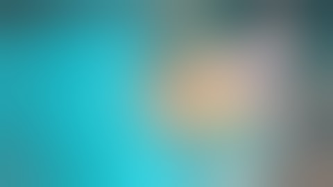 Element Obturation Unit wmv