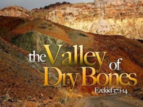 The Valley of Dry Bones Series
