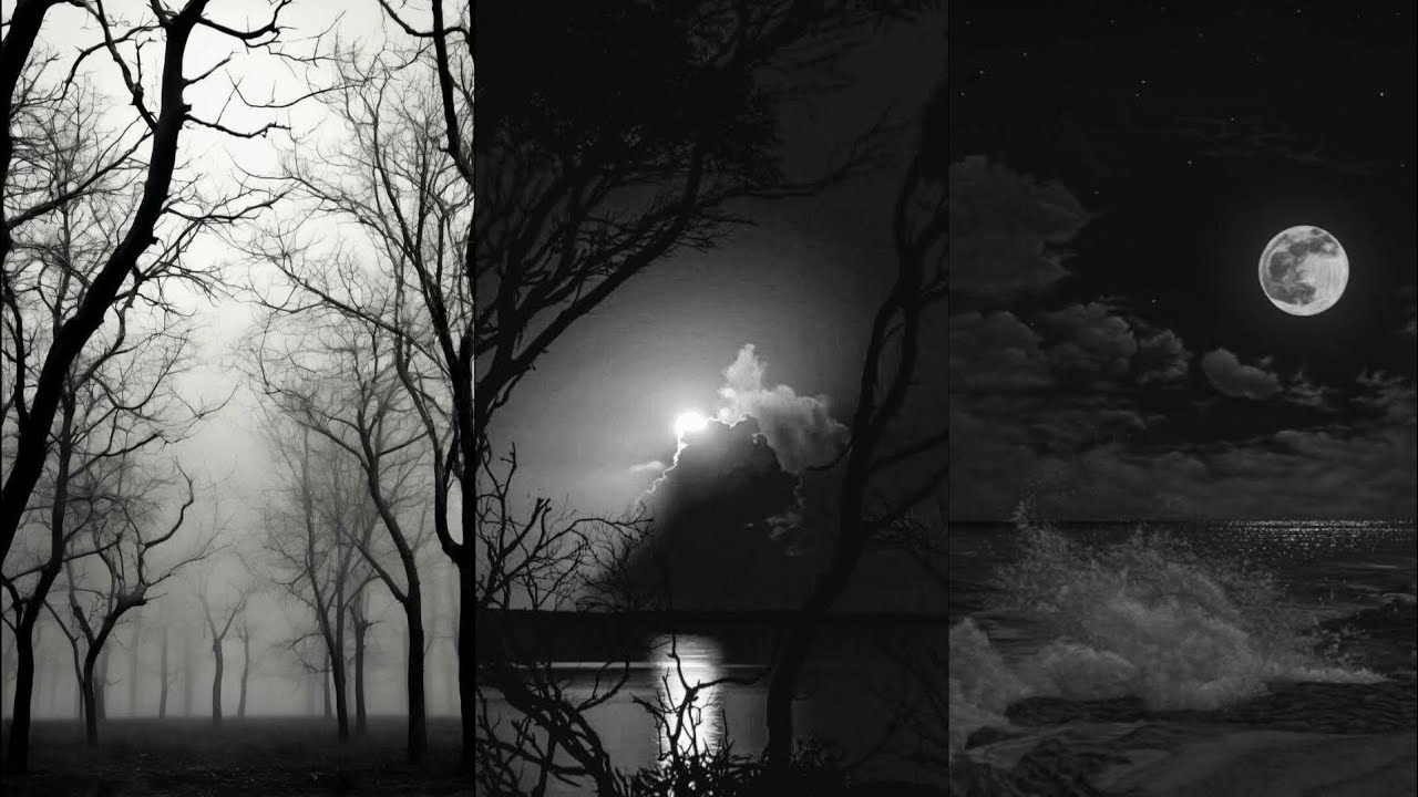 (🌳Tiktok🌳) tổng hợp các bài hát remix hay nhất Tiktok cùng nghe nhé P2