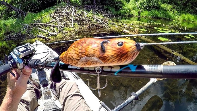 Big Bass Love. . . Beavers?! (Berkley Bucktooth Beaver) 