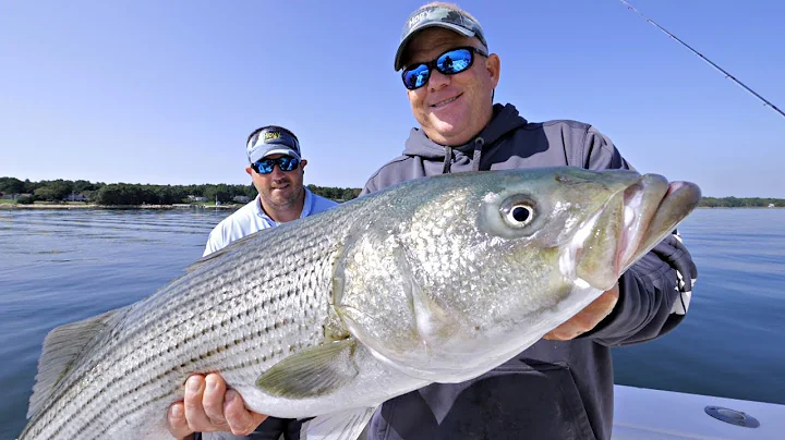 Cape Cod Fall Grand Slam