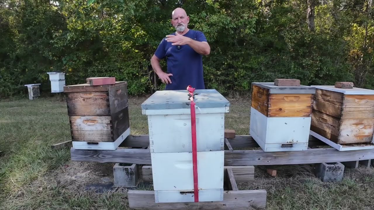 Перемещение ульев на несколько футов за раз — Hit & Miss Engine's