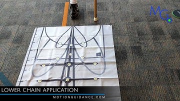 Lower Extremity Visual Feedback: Lunges