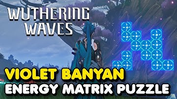 Wuthering Waves - Violet Banyan Energy Matrix Puzzle Solution